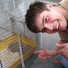 ���������, ������, 36 ���