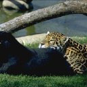 ���� Valentina, �������� - ��������� 27 �������� 2014 � ������ ������ ��������