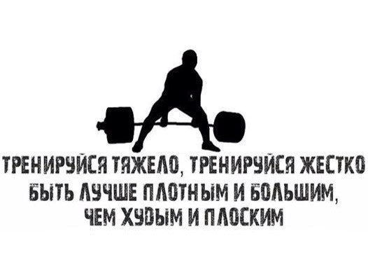 SportFeed - 30  2014  14:36
