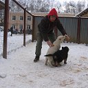 ���� �����, ������, 43 ���� - ��������� 30 ������� 2014 � ������ ���� ����������