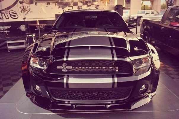 Ford Shelby GT500 Super Snake - 6