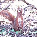 ���� ���������, ������, 49 ��� - ��������� 3 ������� 2014 � ������ ���� ����������