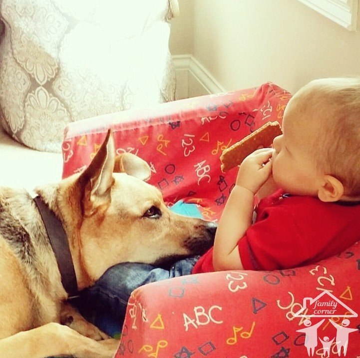 ����� � ��: �������������� ������� ������! - 7