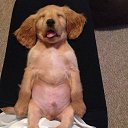  Gelya   20, , 57  -  25  2014    