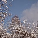 ���� �������, ����������� - ��������� 29 ������� 2014 � ������ ���� ����������