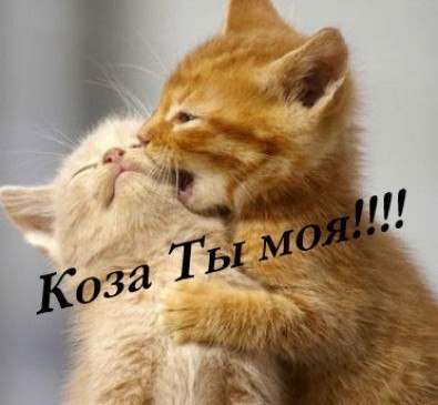 ��� ���� � ����� �� �� - 22 ������ 2014 � 05:05