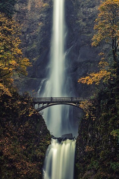  Multnomah, , 