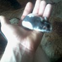  Oleg, , 32  -  28  2014    