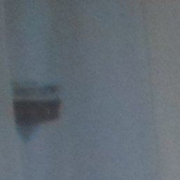 ������, ��������, 49 ���