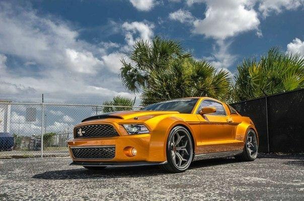 Shelby GT500 Super Snake �� Ultimate Auto - 2
