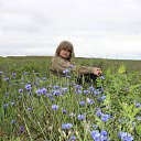 ���� �����, �������������, 58 ��� - ��������� 7 ������� 2014 � ������ ���� ����������