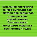 ���� ����, �������, 43 ���� - ��������� 9 ������� 2014 � ������ ������ ��������