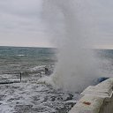   49 Antuanetta,  -  27  2014     .