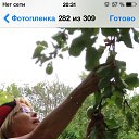 ���� ������, ������������, 65 ��� - ��������� 6 �������� 2014 � ������ �������