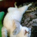 ���� Xorston, ������� - ��������� 29 �������� 2014