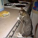 ���� *****Nata, ���� - ��������� 11 ������� 2014 � ������ ������ ��������