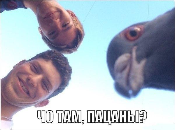    :D - 10  2014  08:46
