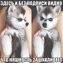 ���� �������, �����, 56 ��� - ��������� 25 ������ 2014 � ������ ������ ��������