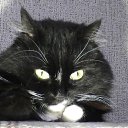 ���� ����, ������� - ��������� 16 ������ 2014 � ������ ���� ����������