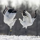  Lina,  -  30  2014      ..