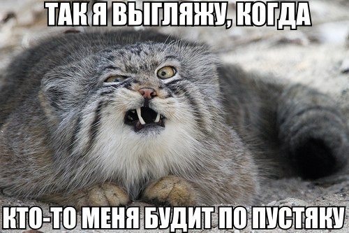    :-) - 6  2014  23:40