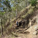  ,  -  10  2014   Tamborine Mountain