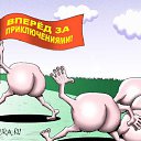 ���� �����, ������, 36 ��� - ��������� 30 �������� 2014 � ������ ������ ��������