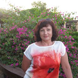 ���� �������, �������, 67 ��� - ��������� 28 ������ 2014