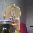 ���� ��������, �����-���������, 40 ��� - ��������� 7 �������� 2014 � ������ ���� ����������