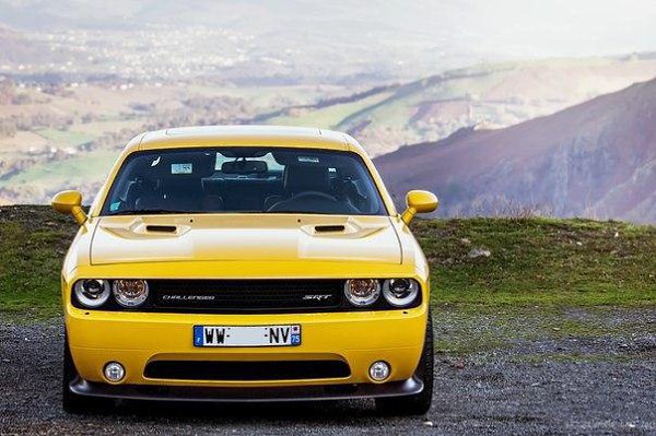 Dodge Challenger Yellow Jacket