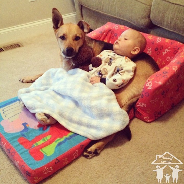 ����� � ��: �������������� ������� ������! - 5