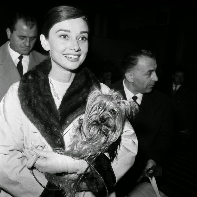          , 1958 .