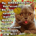 ���� ��������, ���������, 44 ���� - ��������� 5 ������� 2014 � ������ ������ ��������