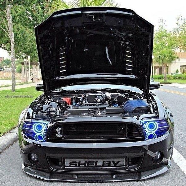 2014 Shelby GT500. - 3