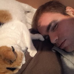 ���� �������, ������ - ��������� 3 ������� 2014