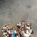 ���� ������, �����-���������, 70 ��� - ��������� 28 ������� 2014 � ������ ������ 2014�