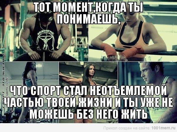  -   - 13  2014  17:44
