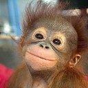 :)))
 �� ������� ���� ����������