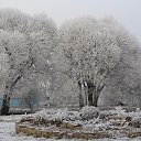 ���� ��������, �����-���������, 62 ���� - ��������� 21 ������ 2014 � ������ �������