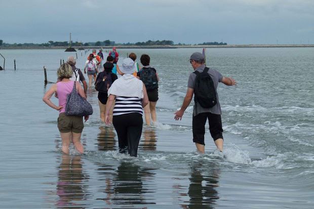 ,      .   (Passage du Gois)  ,   ... - 6