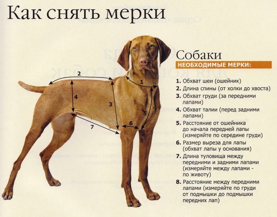 .•°Dogs Forever°•. - 13 октября 2014 в 22:20