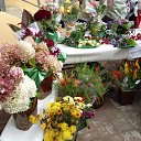 ������� �� ������� ���� ����������