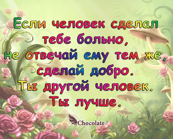 hocolate - 5  2014  21:30