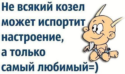   ,   .© - 23  2014  18:40