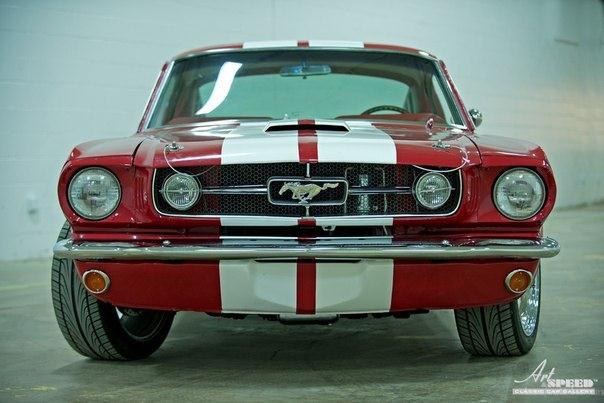 Ford Mustang Fastback, 1965. : : 289 V8. : 3- . - 4