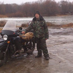 �������, ��������, 49 ���