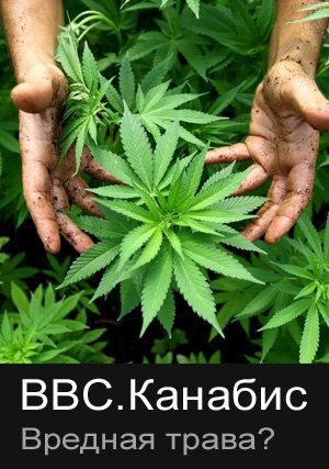 :  ? (BBC https://fotostrana.ru/away?to=/sl/9Ys1 The Evil Weed?)  ()  ...