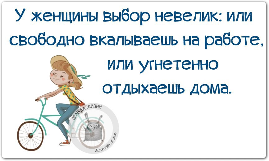 Выбор невелик. У женщины выбор невелик или свободно вкалываешь на работе или. Выбор не велик. У меня выбор небольшой.