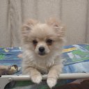 ���� ����, ������, 59 ��� - ��������� 8 ������� 2014