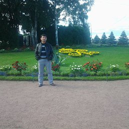 �������, �����-���������, 47 ���